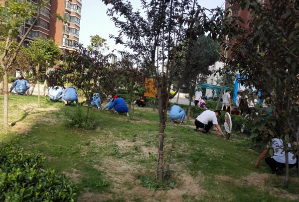 �����s��